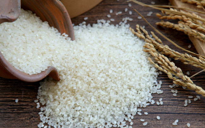 大米是可以“晒”还是不可以“晒”