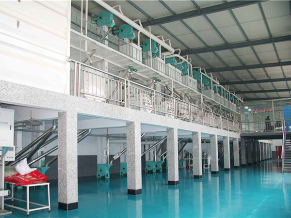 150吨成套碾米设备